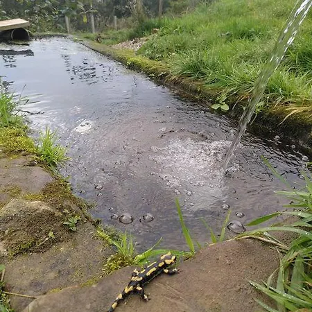 شقة La Chouette Dort Le Du Retour A La Source *