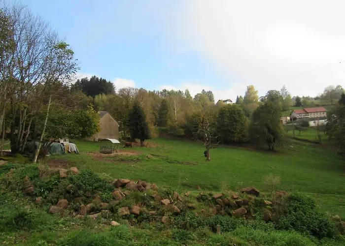 Daire La Chouette Dort Le Du Retour A La Source *