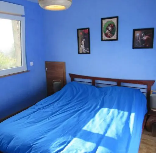 La Chouette Dort Le Du Retour A La Source Daire *