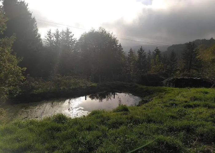 Daire La Chouette Dort Le Du Retour A La Source Dabo