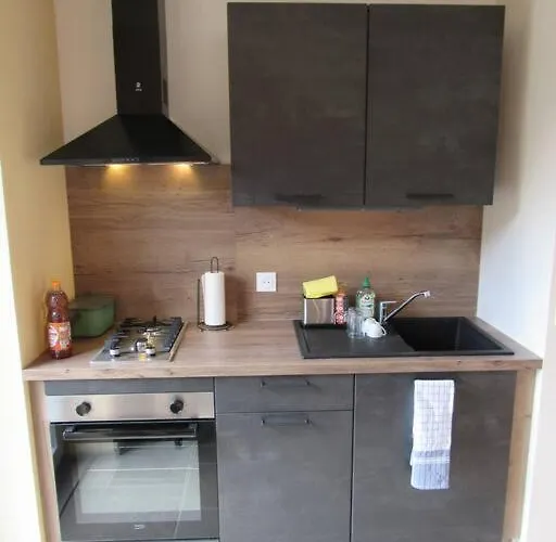 La Chouette Dort Le Du Retour A La Source