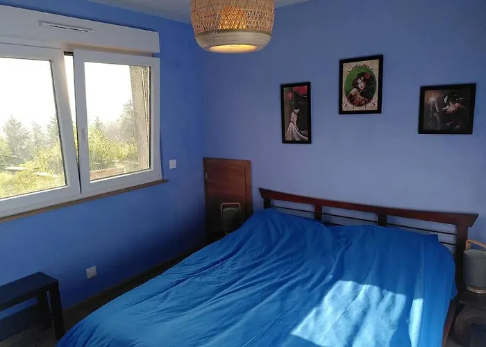 La Chouette Dort Le Du Retour A La Source *