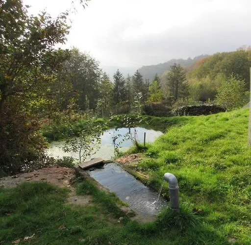 La Chouette Dort Le Du Retour A La Source 아파트