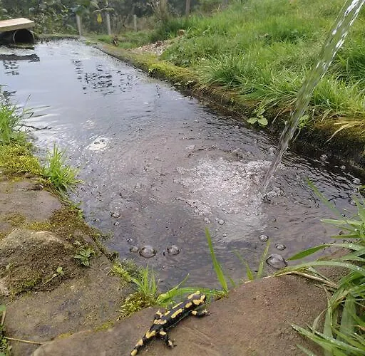 아파트 La Chouette Dort Le Du Retour A La Source *