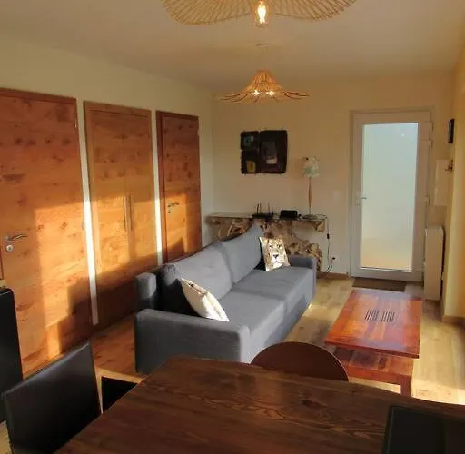 La Chouette Dort Le Du Retour A La Source Daire *