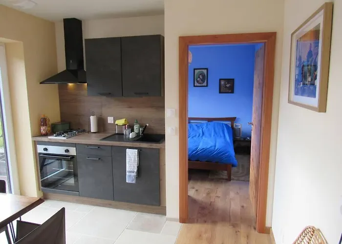 La Chouette Dort Le Du Retour A La Source Daire