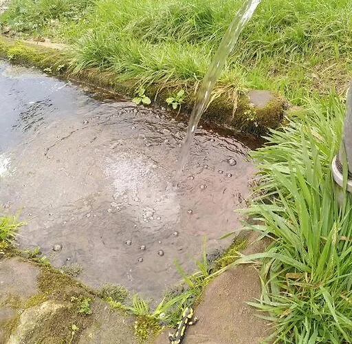 La Chouette Dort Le Du Retour A La Source 아파트 *