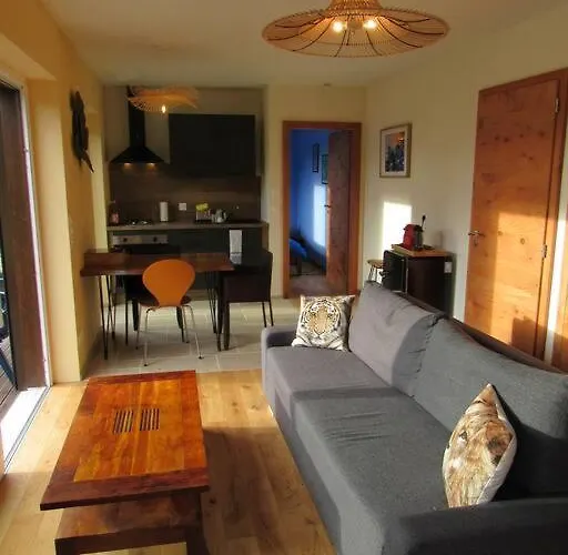 Daire La Chouette Dort Le Du Retour A La Source *