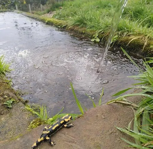La Chouette Dort Le Du Retour A La Source